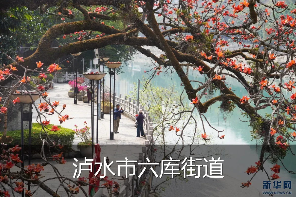 泸水市六库街道