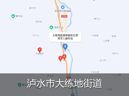 泸水市大练地街道