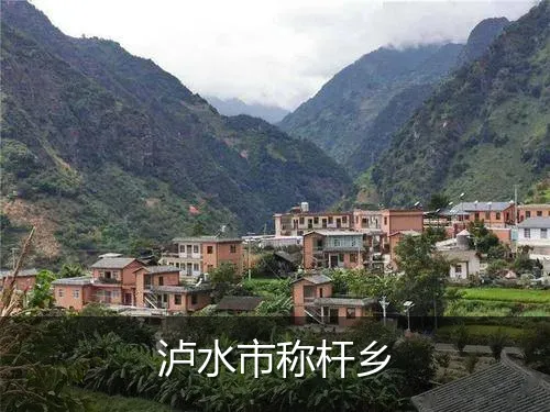 泸水市称杆乡