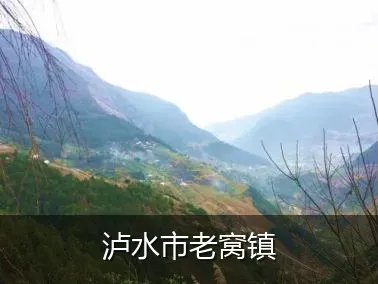 泸水市老窝镇