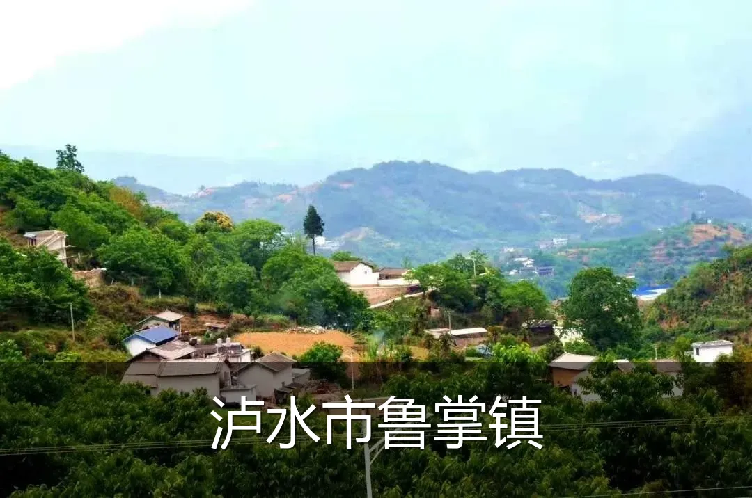 泸水市鲁掌镇